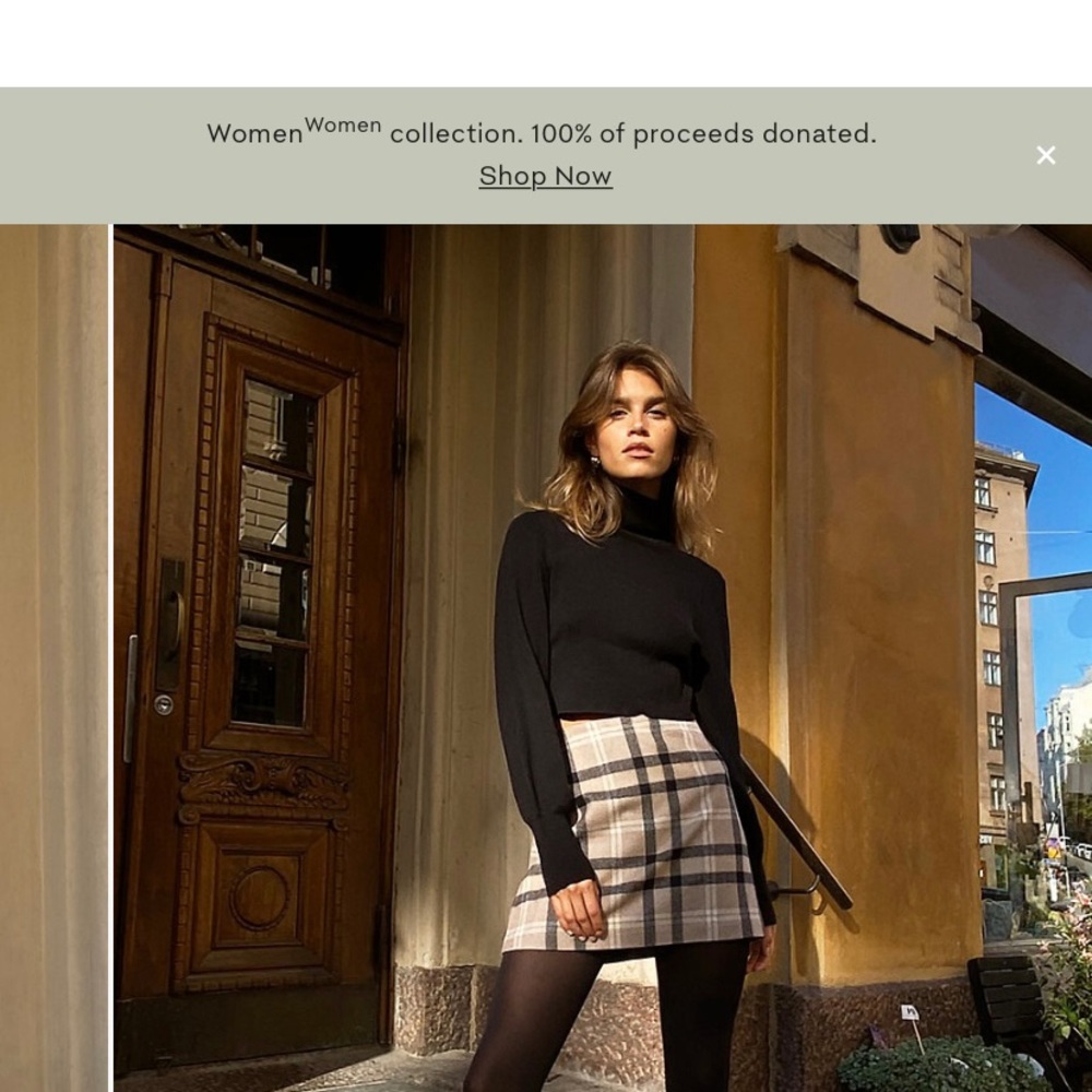 ARITZIA WILFRED SKIRT